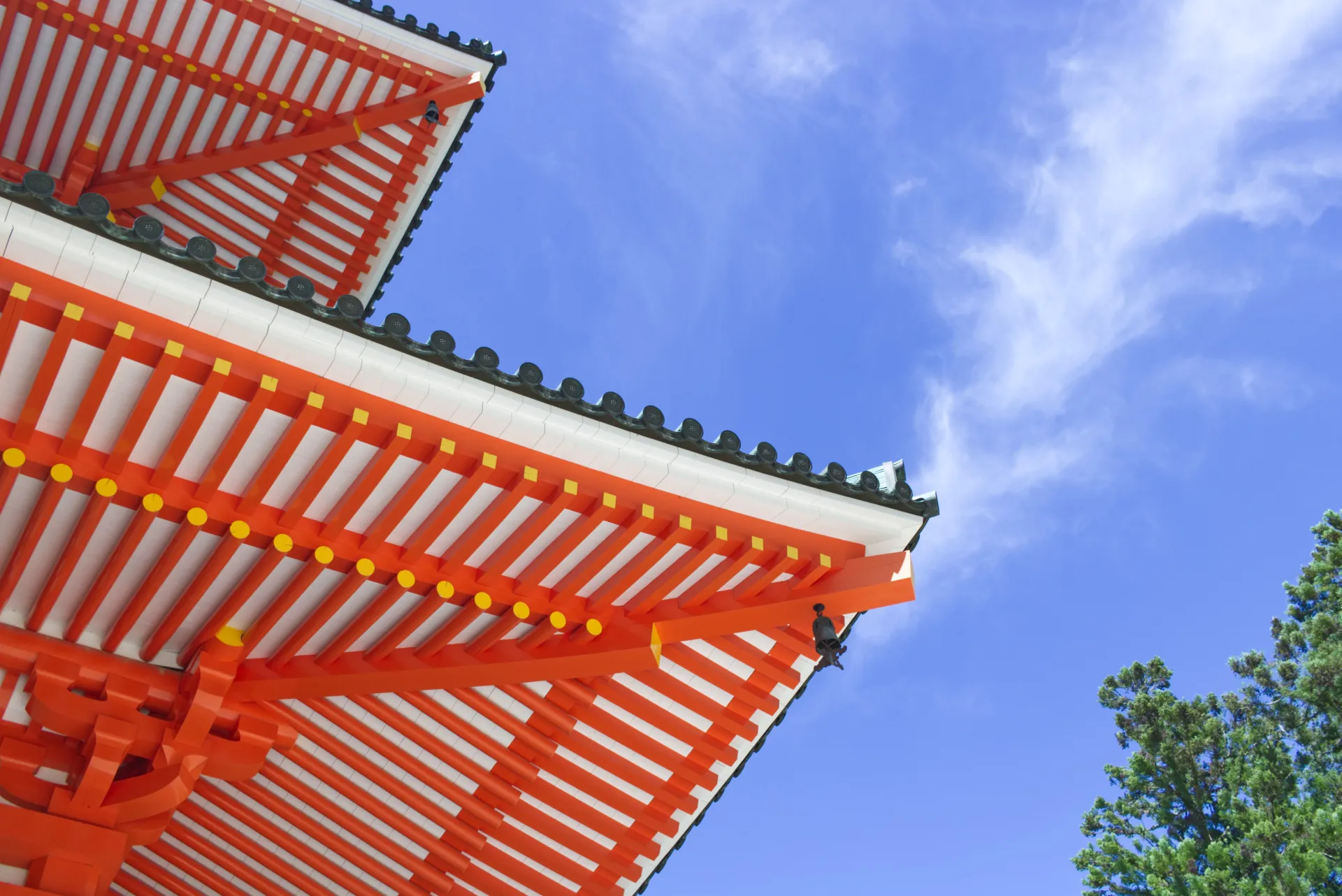 A photograph of a temple roof with sky
